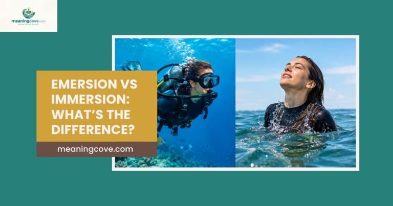 Emersion vs Immersion: What’s the Difference?