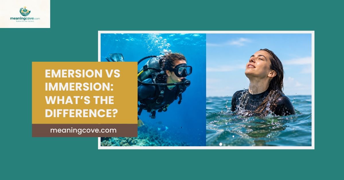 Emersion vs Immersion: What’s the Difference?