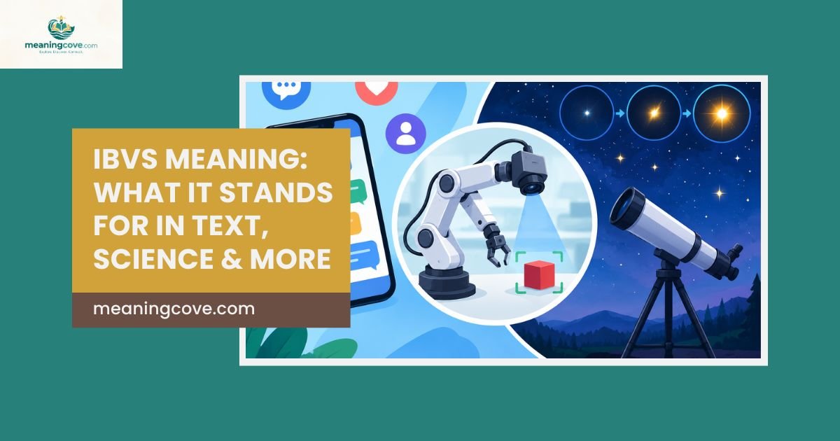 IBVS Meaning: What It Stands For in Text, Science & More